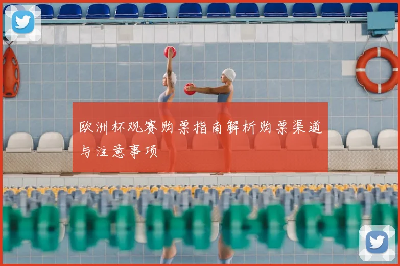 欧洲杯观赛购票指南解析购票渠道与注意事项
