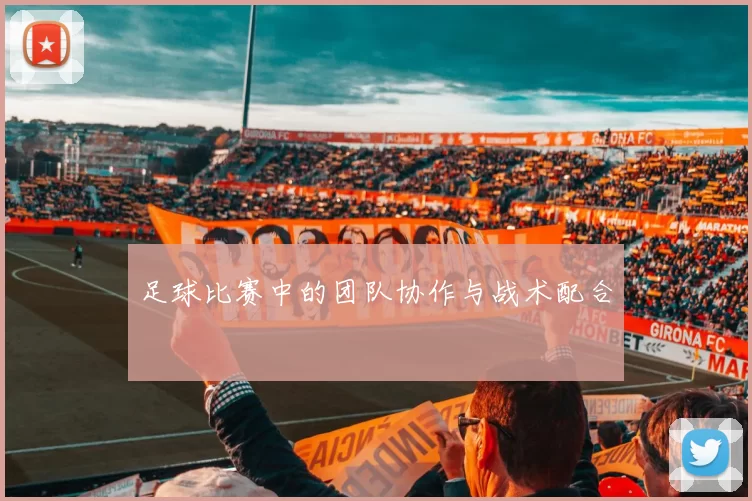 足球比赛中的团队协作与战术配合