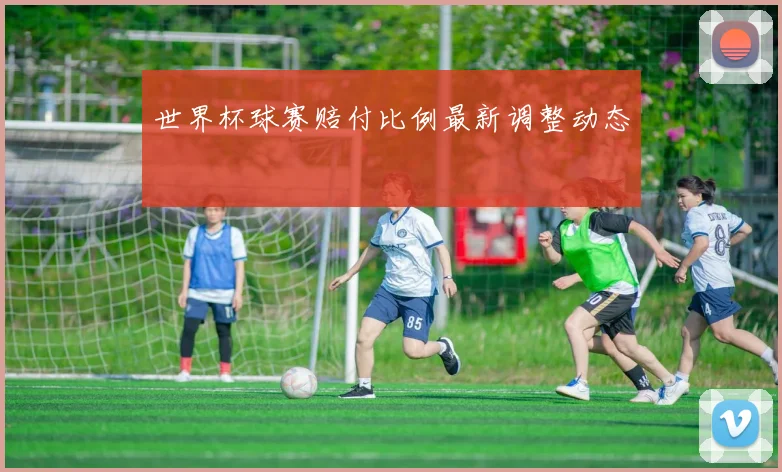 世界杯球赛赔付比例最新调整动态