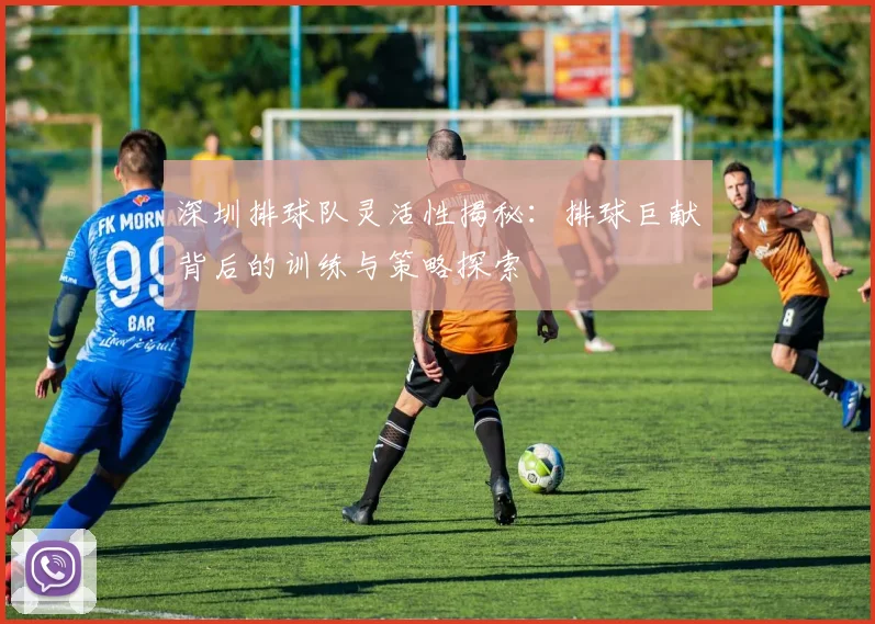 深圳排球队灵活性揭秘:排球巨献背后的训练与策略探索
