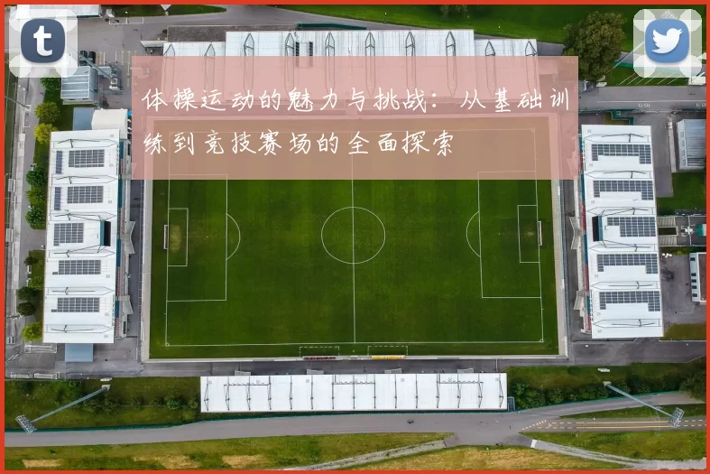 体操运动的魅力与挑战：从基础训练到竞技赛场的全面探索