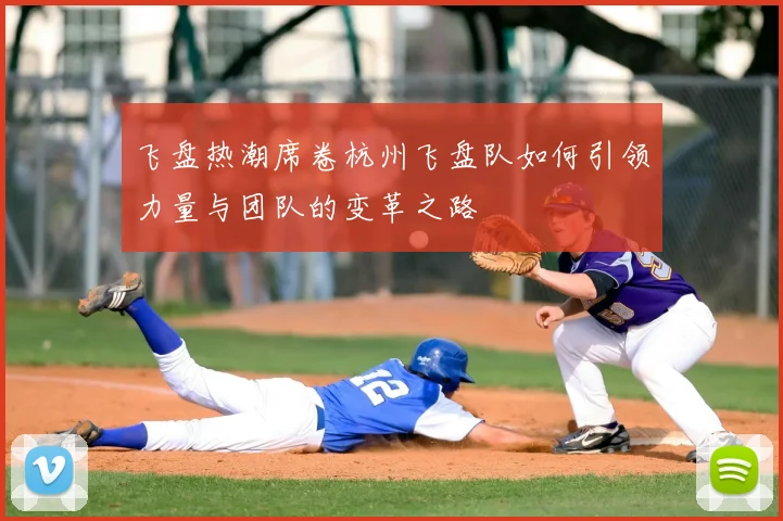 飞盘热潮席卷杭州飞盘队如何引领力量与团队的变革之路