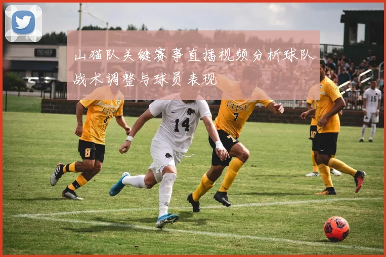 山猫队关键赛事直播视频分析球队战术调整与球员表现