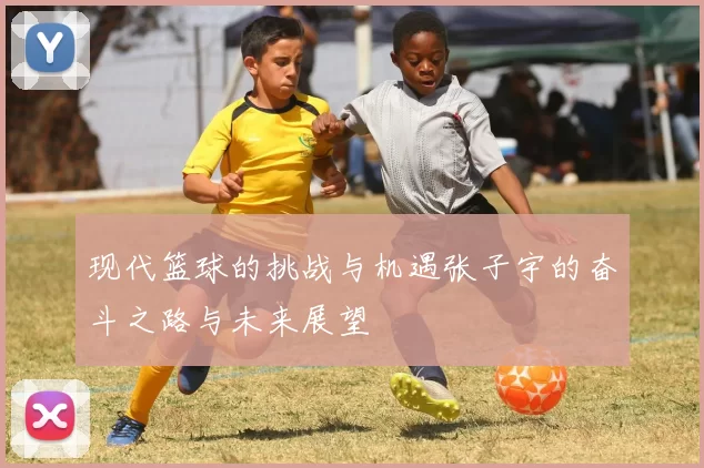 现代篮球的挑战与机遇张子宇的奋斗之路与未来展望