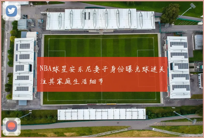 NBA球星安东尼妻子身份曝光球迷关注其家庭生活细节