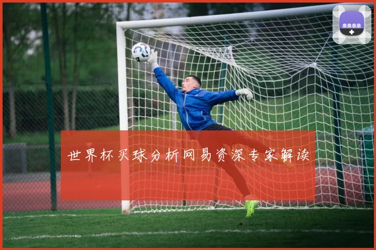 世界杯买球分析网易资深专家解读