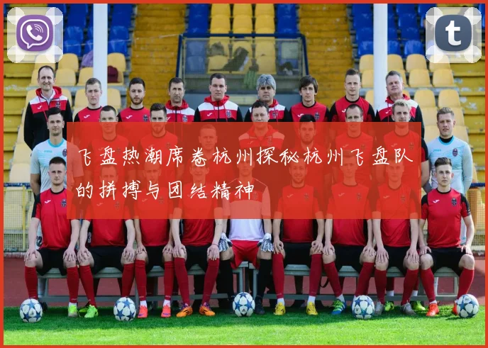 飞盘热潮席卷杭州探秘杭州飞盘队的拼搏与团结精神